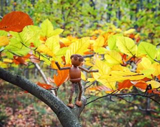 Stromy se teď krásně vybarvily! The trees have burst into beautiful colors lately!
