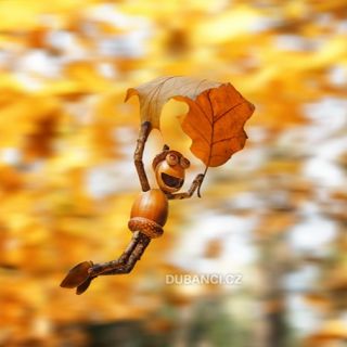 Lepší jak pouštět draky takhle napodzim... Is there anything better than flying kites in the autumn like this...