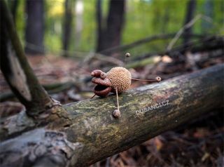 A tohle je jedna z mých nejoblíbenějších bytostí z potvůrkového pexesa. And this one’s one of my favorite creatures from...