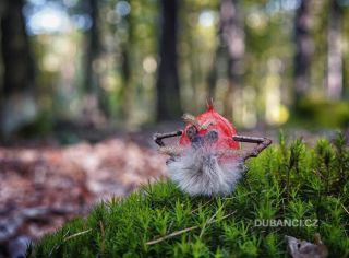 Do lesa utekla další příšerka z Dubánčího potvůrkového pexesa! Ale nějak si nepamatuji, jak se jmenuje... Another little...