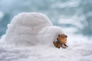 Dnes se slaví Den kempování (asi mezinárodní, protože neznám moc lidí, co by teď kempovali). Ale teď jsem si uvědomil, že...