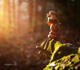 Ještě se trochu nahřát v tom podzimním sluníčku... Soaking up a bit more of that autumn sunshine...