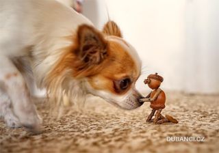 Venku je dnes tak ošklivo, že by psa nevyhnal… tak posílám aspoň fotku z tepla. The weather outside is so nasty today you...