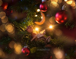 Tak co, už máte přečtené všechny vánoční dárky? So, have you already read through all your Christmas presents?