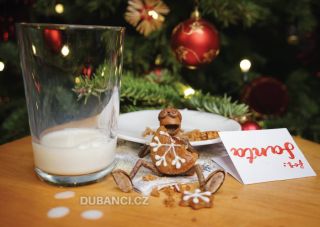 Dubánci vám přejí krásné Vánoce! The acorn elves wish you a wonderful Christmas!
